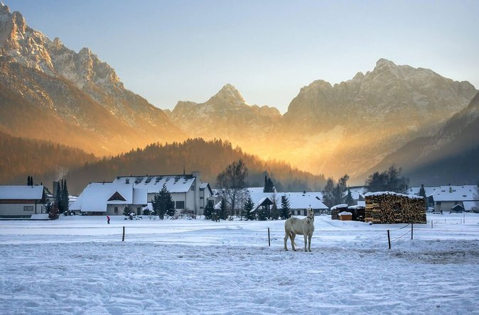 Triglav National Park and the Alps Private Tour - Professional Guide