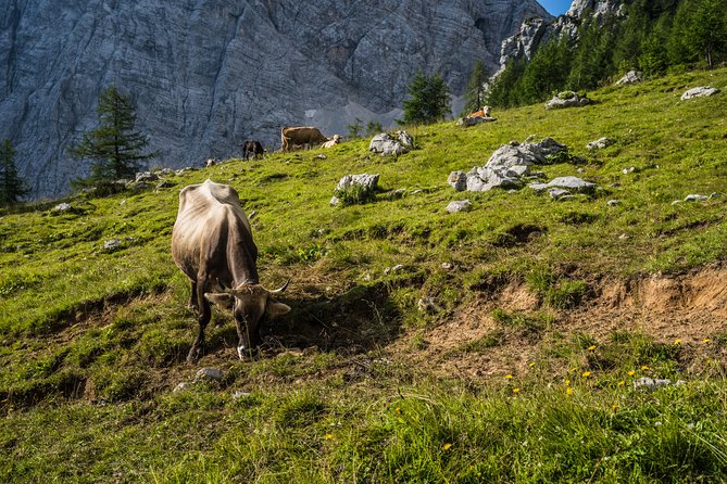 Triglav Tour in 2 Days Slovenia - Preparing for the Adventure