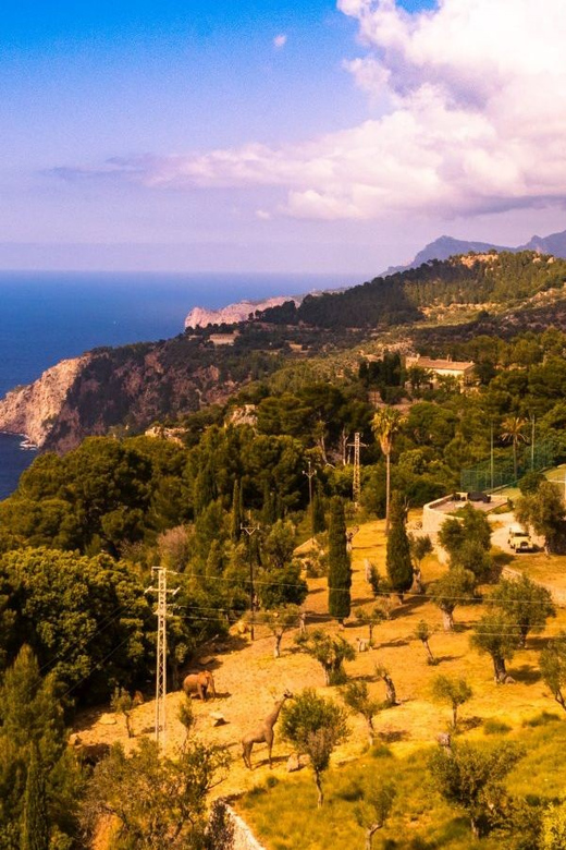 Trike Tour Mallorca for Passenger & Self Drive - Personalized Small Group Experience
