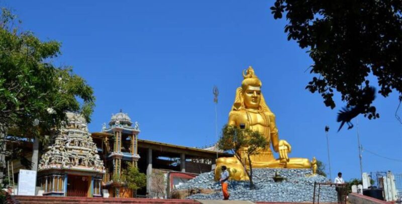 Trincomalee: A 5-Day Journey of Sightseeing and Beach Bliss - Accommodation and Meals