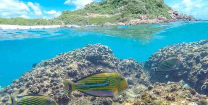 Trincomalee: A 5-Day Journey of Sightseeing and Beach Bliss - Recommended Preparation