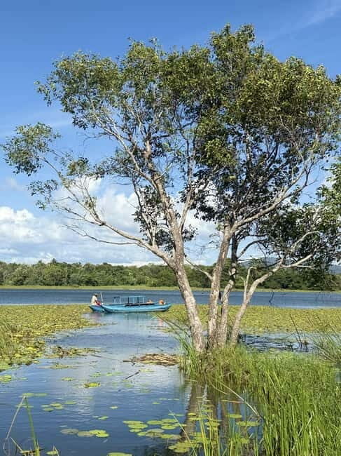 Trincomalee to Sigiriya:Rural Village Tour & Elephant Safari - The Sum Up