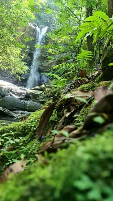 Trinidad: Avocat Waterfall and Maracas Bay Beach Tour - Practical Tips for Participants