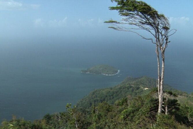 Trinidad City Highlights and Beach Experience - Visiting Maracas Beach