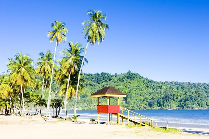 Trinidad Highlights and Scenic Drive Tour - Scenic Stops and Activities