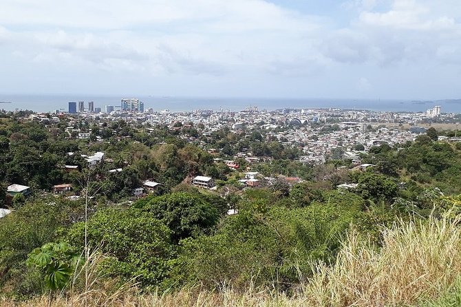 Trinidad Highlights and Scenic Drive Tour - Exploring Red House and Savannah