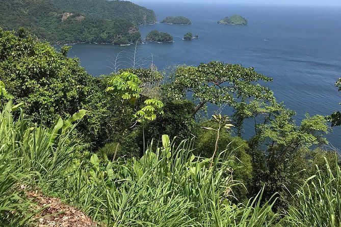 Trinidad Highlights and Scenic Drive Tour - Sampling Local Cuisine and Sweets
