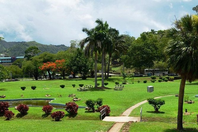 Trinidad Highlights Tour From Port of Spain - Pickup Details