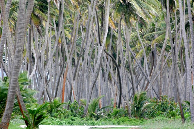 Trinidad Island Circle Tour With Pickup - Tour Overview and Highlights