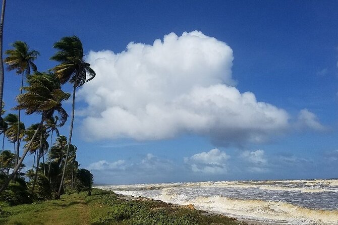 Trinidad Island Circle Tour With Pickup - Tour Experience and Expectations