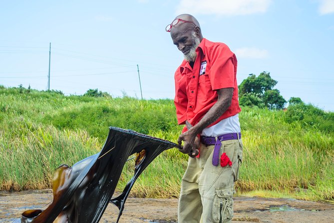 Trinidad Island Sightseeing Tour: Pitch Lake and Chaguanas - La Brea Village