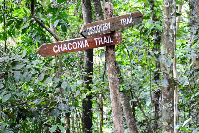 Trinidad Nature and Asa Wright Center Full-Day Tour From Port of Spain - Optional Arima Market Visit