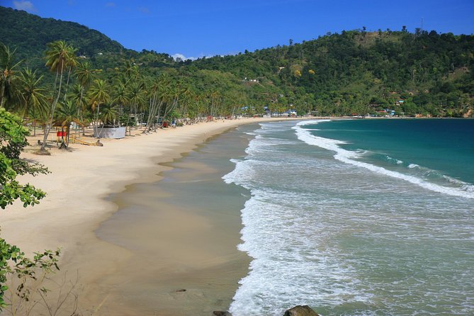 Trinidad Northern Eco-Cultural Full-Day Highlights Tour From Port of Spain - Tour Overview and Highlights