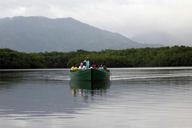 Trinidad Northern Eco-Cultural Full-Day Highlights Tour From Port of Spain - Reviews and Feedback