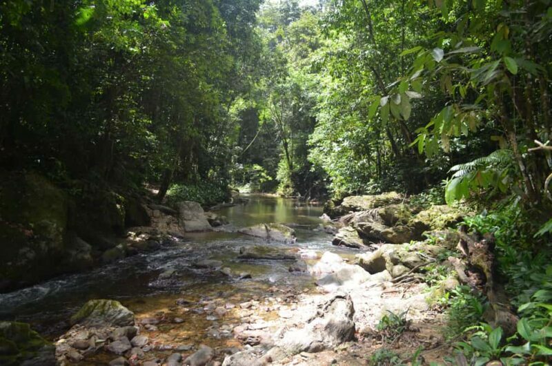 Trinidad: Rainforest Hike to Avocat Waterfall - The Itinerary in Detail