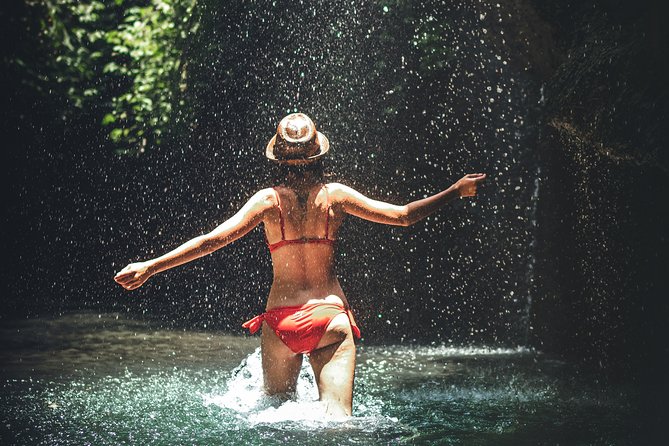Trinidad Rainforest Hike to Waterfall - Customer Feedback