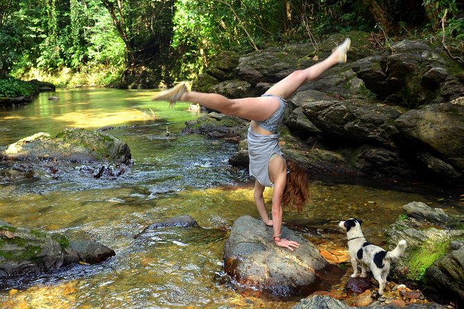 Trinidad Rainforest Hike to Waterfall - Swimming at the Waterfall
