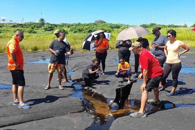 Trinidad Treasures Pitch Lake Temple and Scarlet Ibis - An In-Depth Look at the Trinidad Treasures Tour
