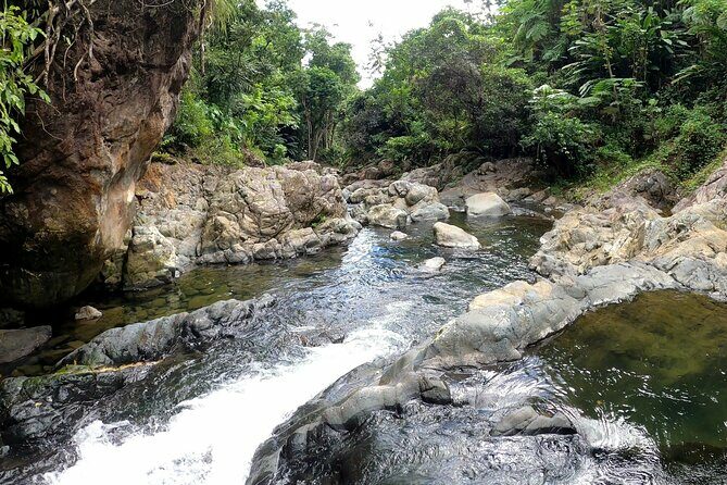 Trio Tour: El Yunque, Luquillo Beach, and Bio Bay Night Kayaking - Real Traveler Insights: What People Say