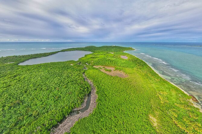 Trio Tour: El Yunque, Luquillo Beach, and Bio Bay Night Kayaking - Customer Experiences