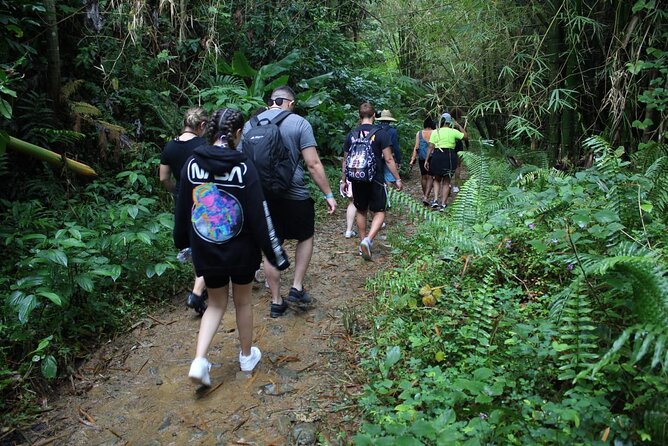 Trio Tour: El Yunque, Luquillo Beach, and Bio Bay Night Kayaking - Important Notes
