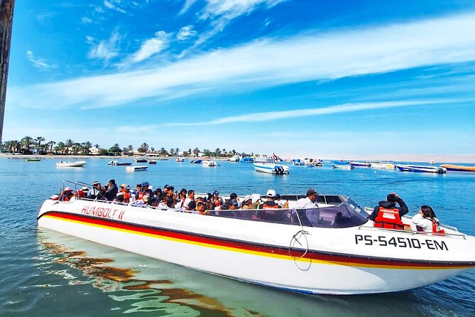 Trip and Tour to Paracas, Huacachina and Winegrowers - Meeting and Pickup
