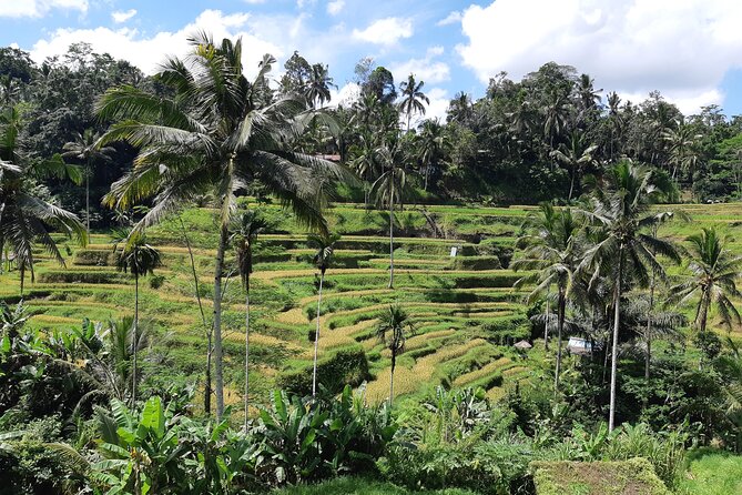 Trip Bali Ubud Full Day All Inclusive Private Tour - Tour Inclusions