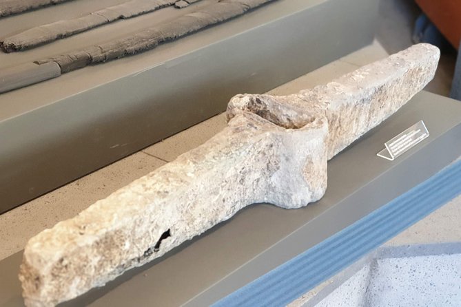 Trip Excursion to Mt. Vesuvius - Pompeii + Handmade Pasta Class With Lunch - Customer Reviews