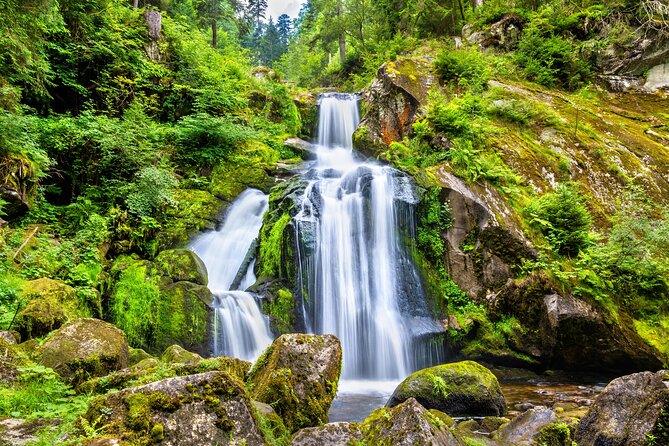 Trip From Zurich to Germanys Black Forest & Swiss Rhine Falls - Personalized Attention and Convenience