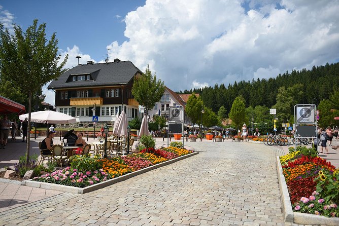 Trip From Zurich to Germanys Black Forest & Swiss Rhine Falls - Booking Details and Cancellation