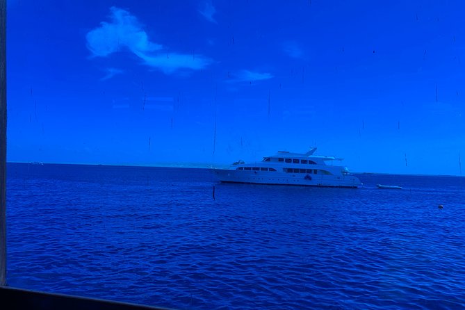 Trip on a Glass Bottom Boat From Hurghada - Ratings and Reviews Summary