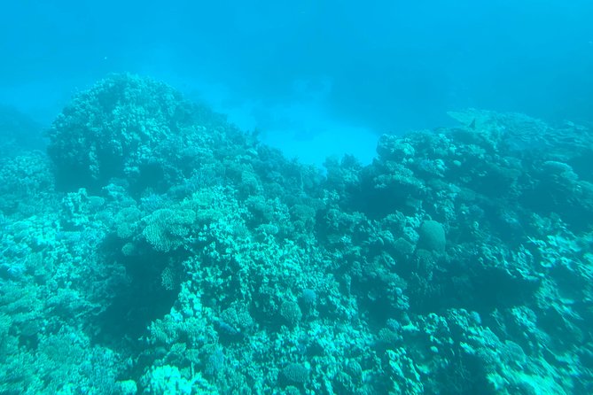 Trip on a Glass Bottom Boat From Hurghada - Highlights of the Glass Bottom Boat Trip