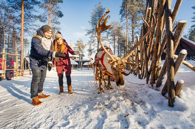 Trip to Arctic Circle, Santa Claus Village and Santas Reindeer - Pickup, Logistics, and Considerations