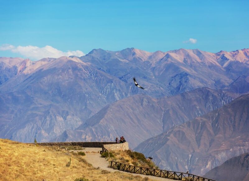 Trip to Colca Canyon 2 Days + Transfer to Puno With Meals - Itinerary Details