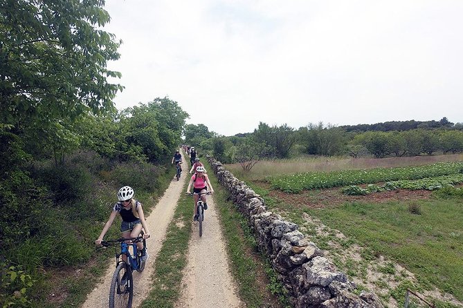 Trip to History of Vodice by Electric Bike - Pedaling Through Scenic Landscapes