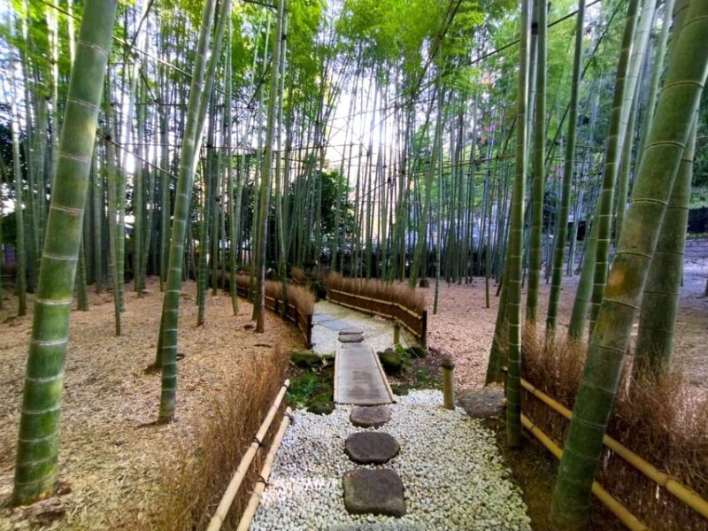 Trip to Kamakura & Enoshima: Shrines, Seaside, Temples &Tea - Key Points