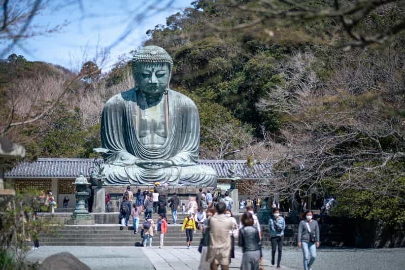 Trip to Kamakura & Enoshima: Shrines, Seaside, Temples &Tea - Transportation Details