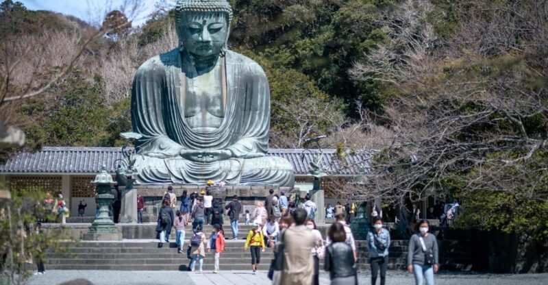 Trip to Kamakura & Enoshima: Shrines, Seaside, Temples &Tea - Shirahata Shrine and Koi Feeding