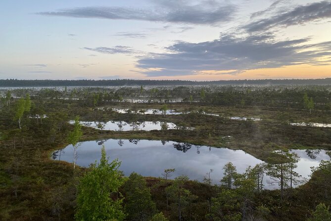 Trip to Kemeri National Park & Jurmala From Riga - Jurmala Experience