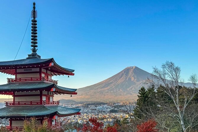 Trip to Mt Fuji and Lake Kawaguchiko With English Speaking Driver - Meeting and Scheduling