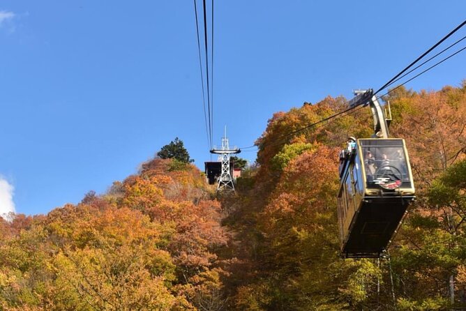 Trip to Mt Fuji and Lake Kawaguchiko With English Speaking Driver - Accessibility and Recommendations