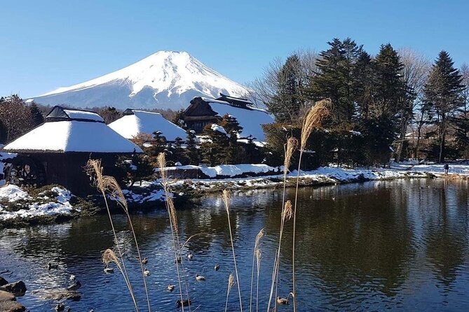 Trip to Mt Fuji and Lake Kawaguchiko With English Speaking Driver - Additional Considerations