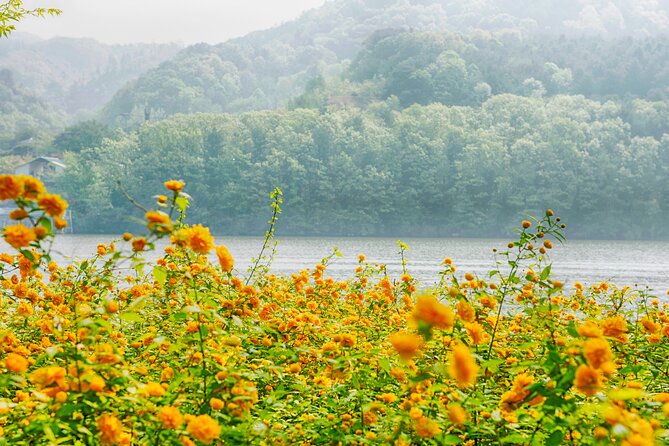 Trip to Nami Island With Petite France & Italian Village, Garden of Morning Calm - Discovering the Italian Village