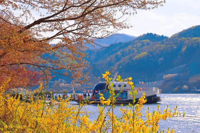 Trip to Nami Island With Petite France & Italian Village, Garden of Morning Calm - Marveling at Garden of Morning Calm