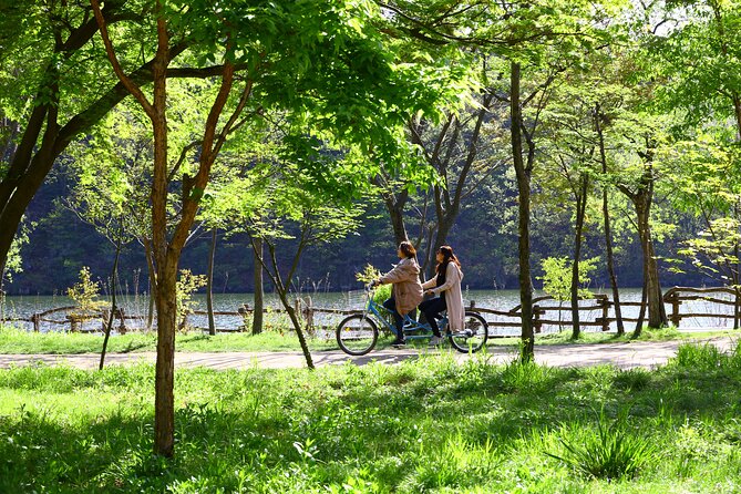 Trip to Nami Island With Petite France & Italian Village, Garden of Morning Calm - Inclusions and Exclusions