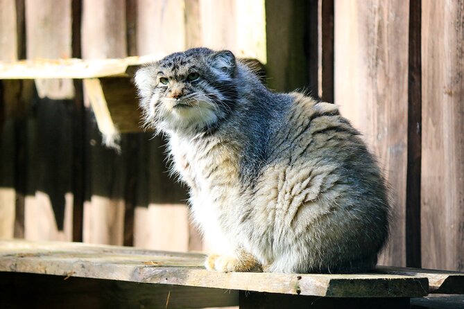 Trip to Ranua Wildlife Park - Guided Tour Experience