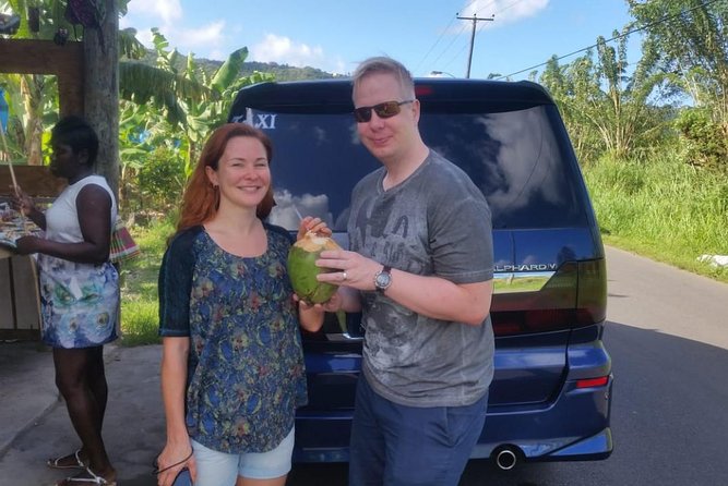 Trip to Soufiere: Volcano, Twin Pitons, Waterfall, Mud Bath & Botanical Garden - Seamless Transportation and Customization