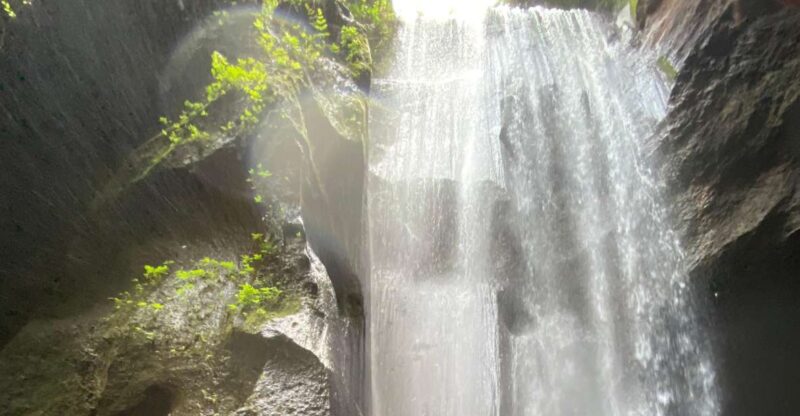 Trip Ubud - Coffee Experience
