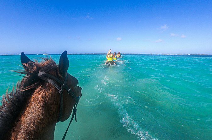 Triple Adventure Horseback ATV and Catamaran Cruise in Seville - Final Word