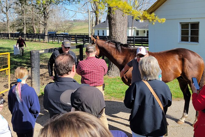 Triple Crown Experience - Exploring the Triple Crown Experience